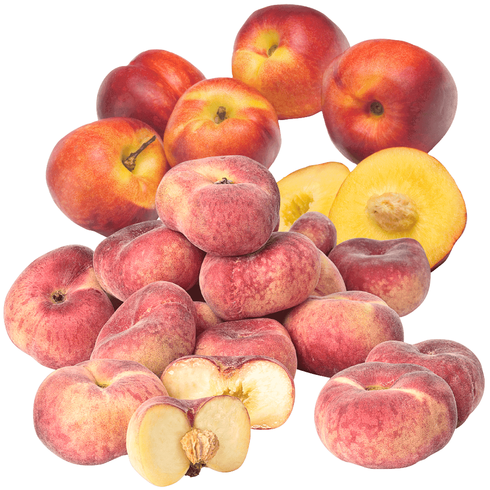 Nectarines, perziken en wilde perziken