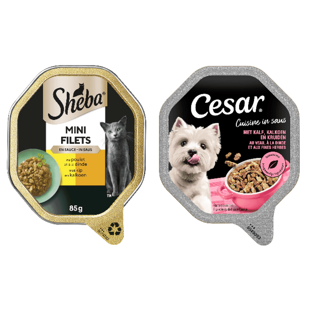 Alle Sheba en Cesar
