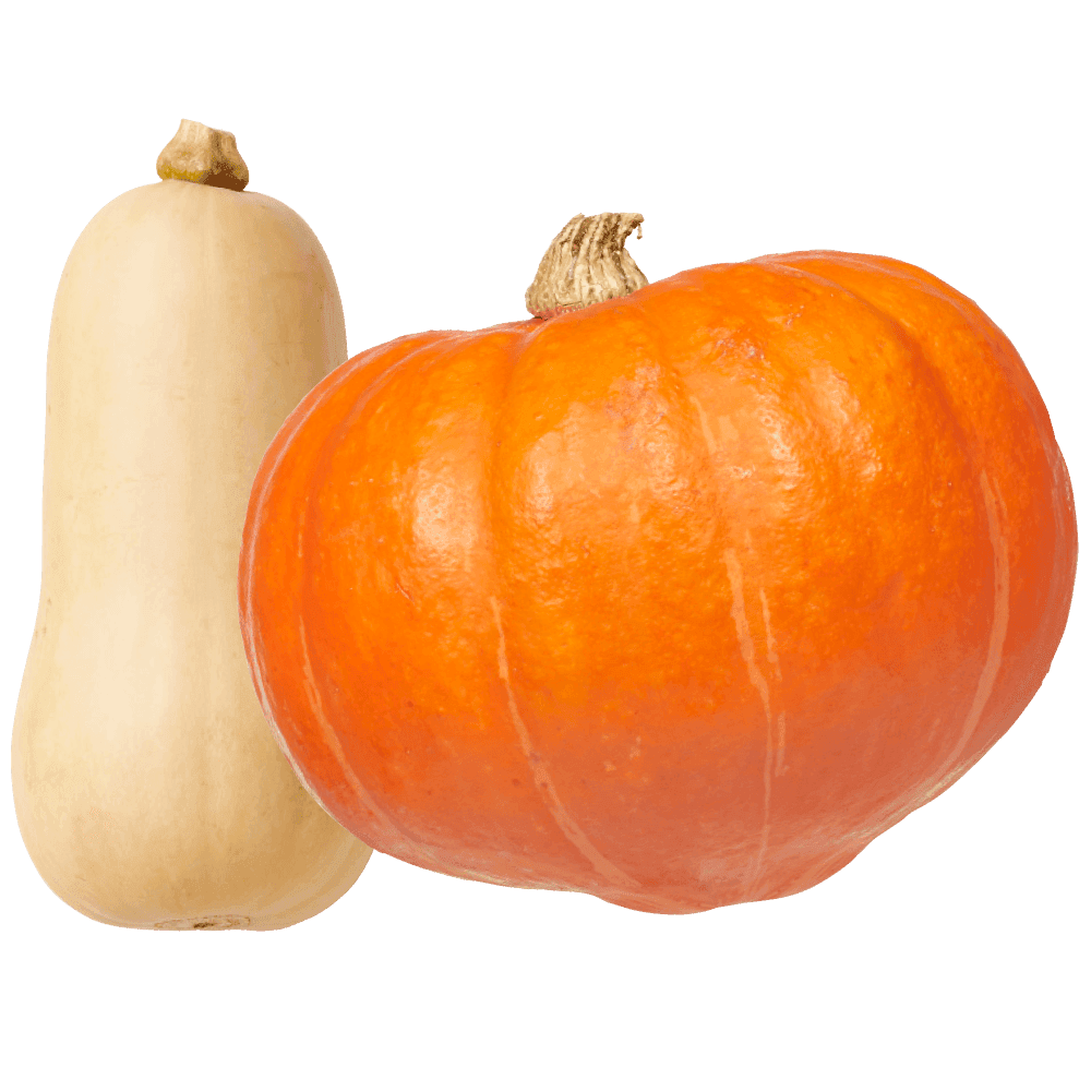 Pompoenen