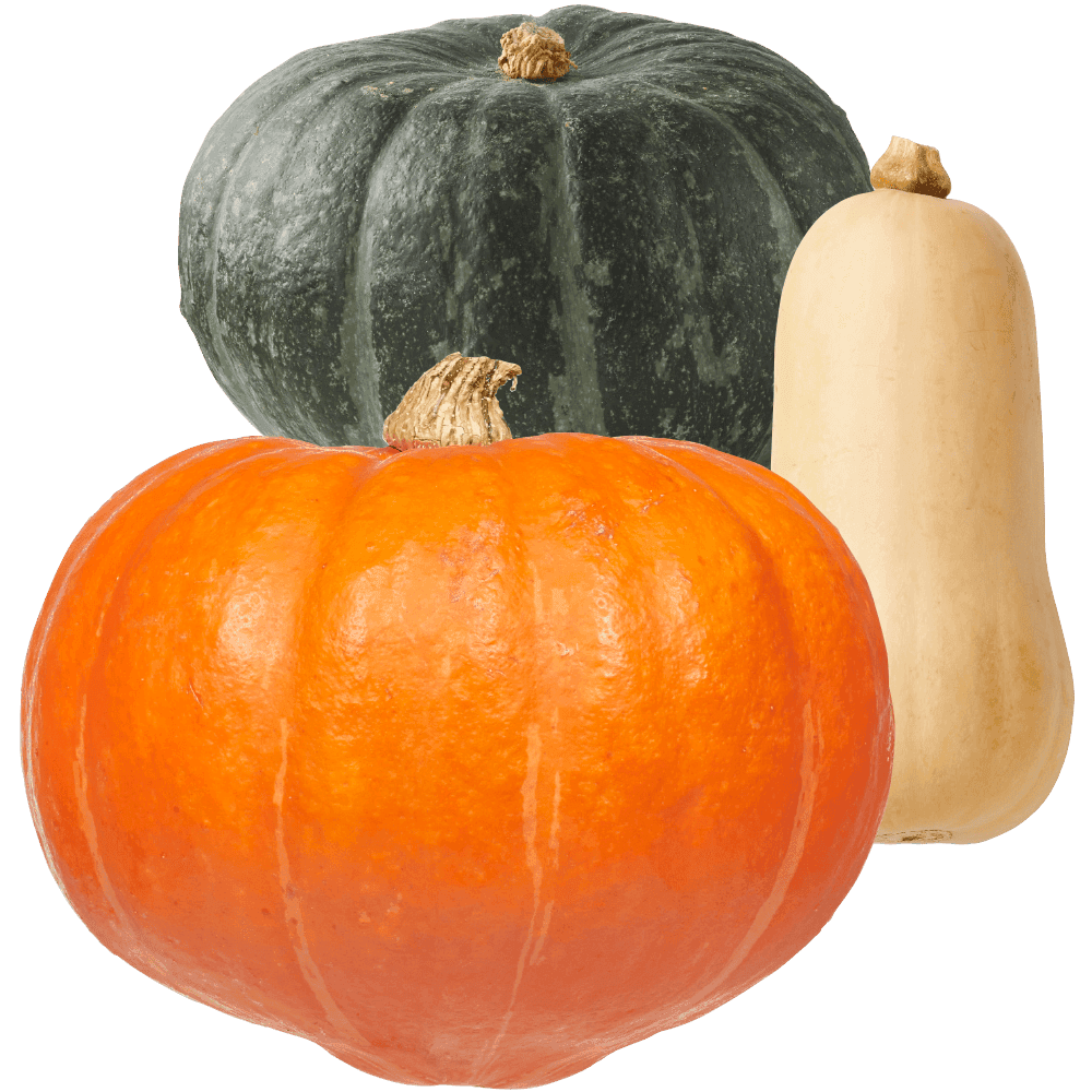 Pompoenen