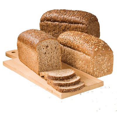 Hollander of Tarpan Brood