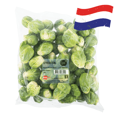 Hollandse Spruiten