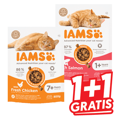 Iams