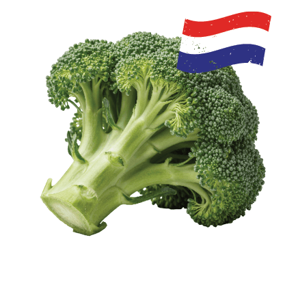 Hollandse Broccoli