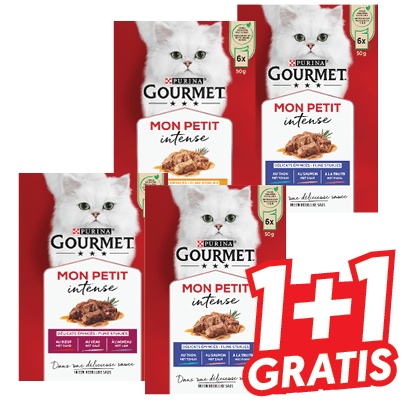 Gourmet Mon Petit of Revelations
