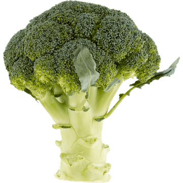 Broccoli online